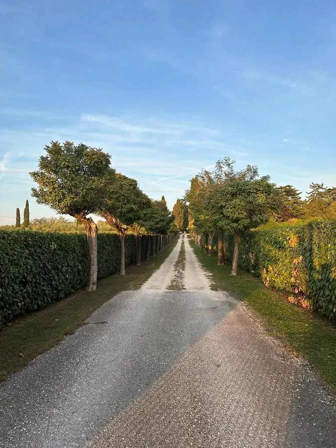 Bed & Breakfast Corte San Lorenzo Bed and Breakfast Desenzano del Garda